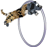 Perfume’s Tortoise in the Mist at Poppyhill — “Turtleneck”