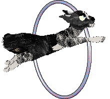 Calluna's Sixth Sense — “Clairvoyance”