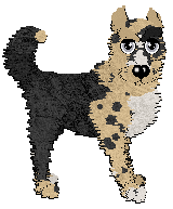 Profile image of Witz/Poppyhill’s Bottled in Bond