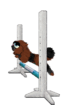 Cirrutopia's Love Bug — “Beetle”