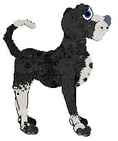 Cargo/CHR's Metaphenomenon — “Axiom”