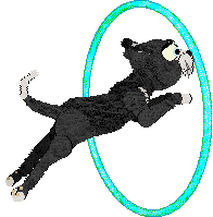 Calluna's Nor The Salted Wind — “Sockeye”