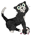 Calluna's Nor The Salted Wind — “Sockeye”