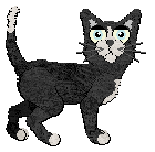 Profile image of Calluna's Nor The Salted Wind