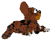 Profile image of KellBell/Mockingbird's Fre Shavac Ado
