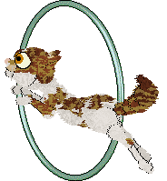 Aniseed's Amber Spyglass at Calluna — “Pangaion”