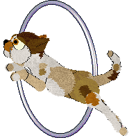 LHKC/Calluna's Sonoran Songbird — “Sonora”