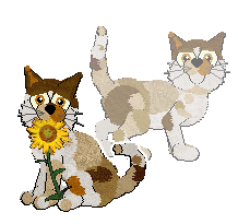 Profile image of LHKC/Calluna's Sonoran Songbird