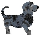 King's Pixel Miniature — “Pixel”