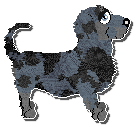 Profile image of King's Pixel Miniature
