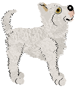 Profile image of Ferality/Tangled's She's Bringing Victory