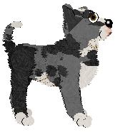 Opolire/Tangled's Gruff Badass — “Dixon”