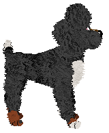 KellBell/Tangled's Way Down We Go — “Spiral”