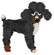 Profile image of KellBell/Tangled's Way Down We Go