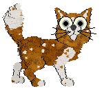 Tau'ri/Tangled's Cunning Above Favour — “Kun”