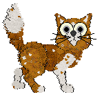 Profile image of Tau'ri/Tangled's Cunning Above Favour