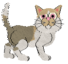 Perfume Cameo Queen at Amphigory — “Cammie”