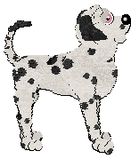 Profile image of Poppyhill's Desert Jewel