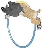 Poppyhill's Wandering Child — “Giry”