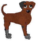 Witz's Instinctive Response — “Run”