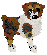 Ferality/Mockingbird's Weekend Symphony — “Viva”