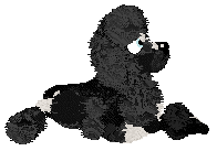 Poppyhill/Witz's Wonderful Crazy Thing — “Baron”