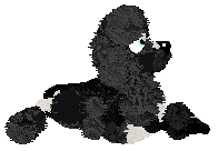 Poppyhill/Witz's Wonderful Crazy Thing — “Baron”