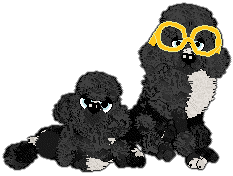 Profile image of Poppyhill/Witz's Wonderful Crazy Thing