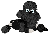 Poppyhill/Witz's Wonderful Crazy Thing — “Baron”