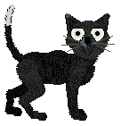 King/Whimsy's Tragic Grace — “Cordelia”