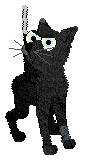 Profile image of King/Whimsy's Tragic Grace