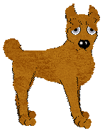 Profile image of Bec's Orange Marmalade at Ferality