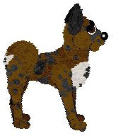 Bec's Double Chocolate Chip at Ferality — “Chips”