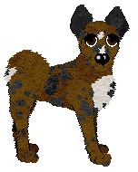 Bec's Double Chocolate Chip at Ferality — “Chips”