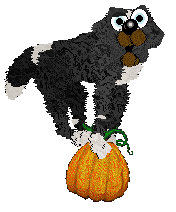 Cirrutopia's Holli and Ivy — “Holli”