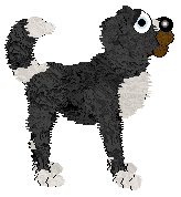 Cirrutopia's Holli and Ivy — “Holli”