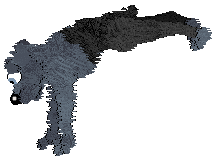 Vanilla's Southern Belle XPC — “Bluebelle”