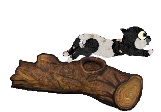 Vanilla/LF's Be Heard ChPC — “Shout”