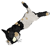 Vanilla/LF's Be Heard ChPC — “Shout”