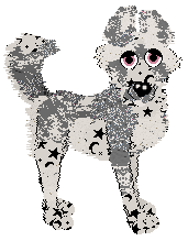 Profile image of LF's Celestial Celebration at Vanilla