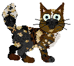 Witz's Liquid Heat — “Escalate”