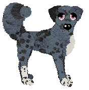 Lex's Northern Lights at Ferality — “Aurora”