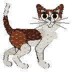 Calluna/Witz's Almost Divine — “Devination”