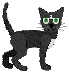 King/Witz's Rapid Succession of Percussion — “Rattle”