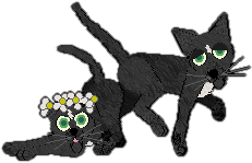 Profile image of King/Witz's Rapid Succession of Percussion