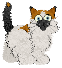 Ferality's Chungus Amungus — “Angus”