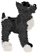 EC's Dance Macabre — “Masquerade”