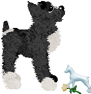 Profile image of EC's Dance Macabre