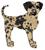 Poppyhill's Chip Off the Old Block at Mythic Silence — “Chip”