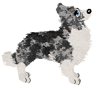 Come Bye's Find Your Way — “Padfoot”